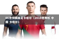 08世预赛国足卡塔尔（2018世界杯 中国 卡塔尔）